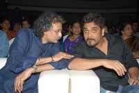 Life is Beautiful Audio Release